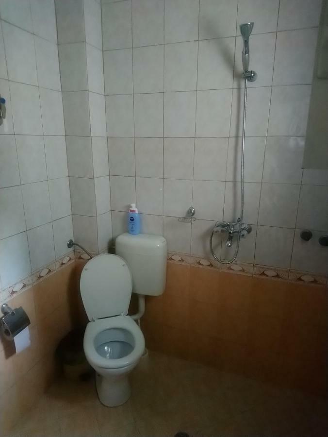 Guest House Emmy Trigrad Εξωτερικό φωτογραφία