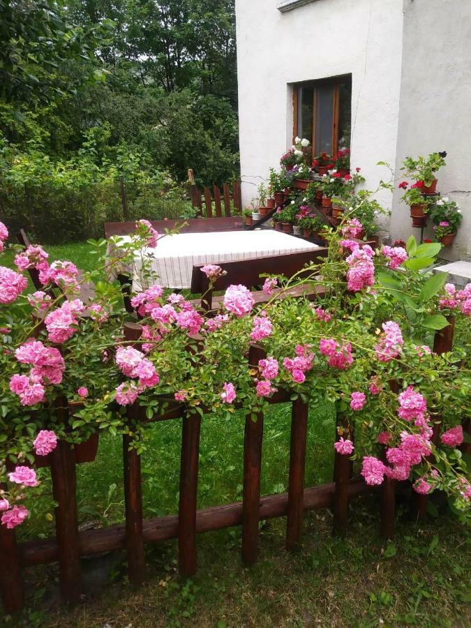 Guest House Emmy Trigrad Εξωτερικό φωτογραφία