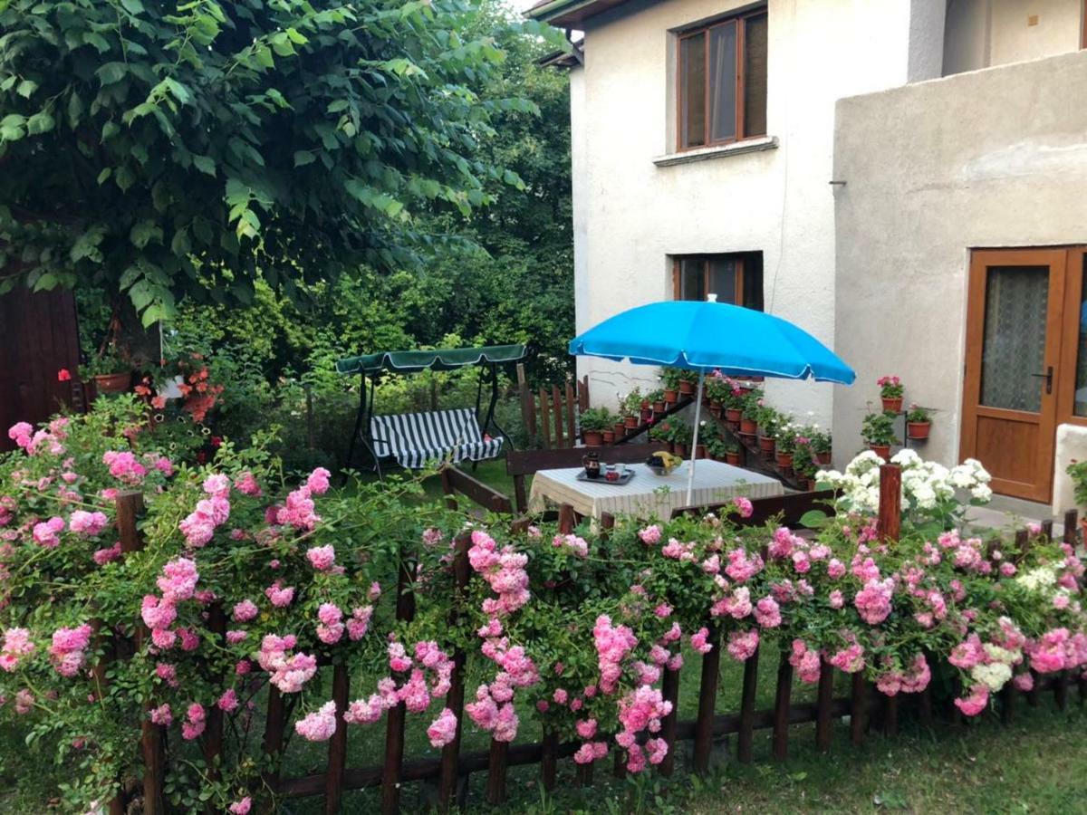 Guest House Emmy Trigrad Εξωτερικό φωτογραφία